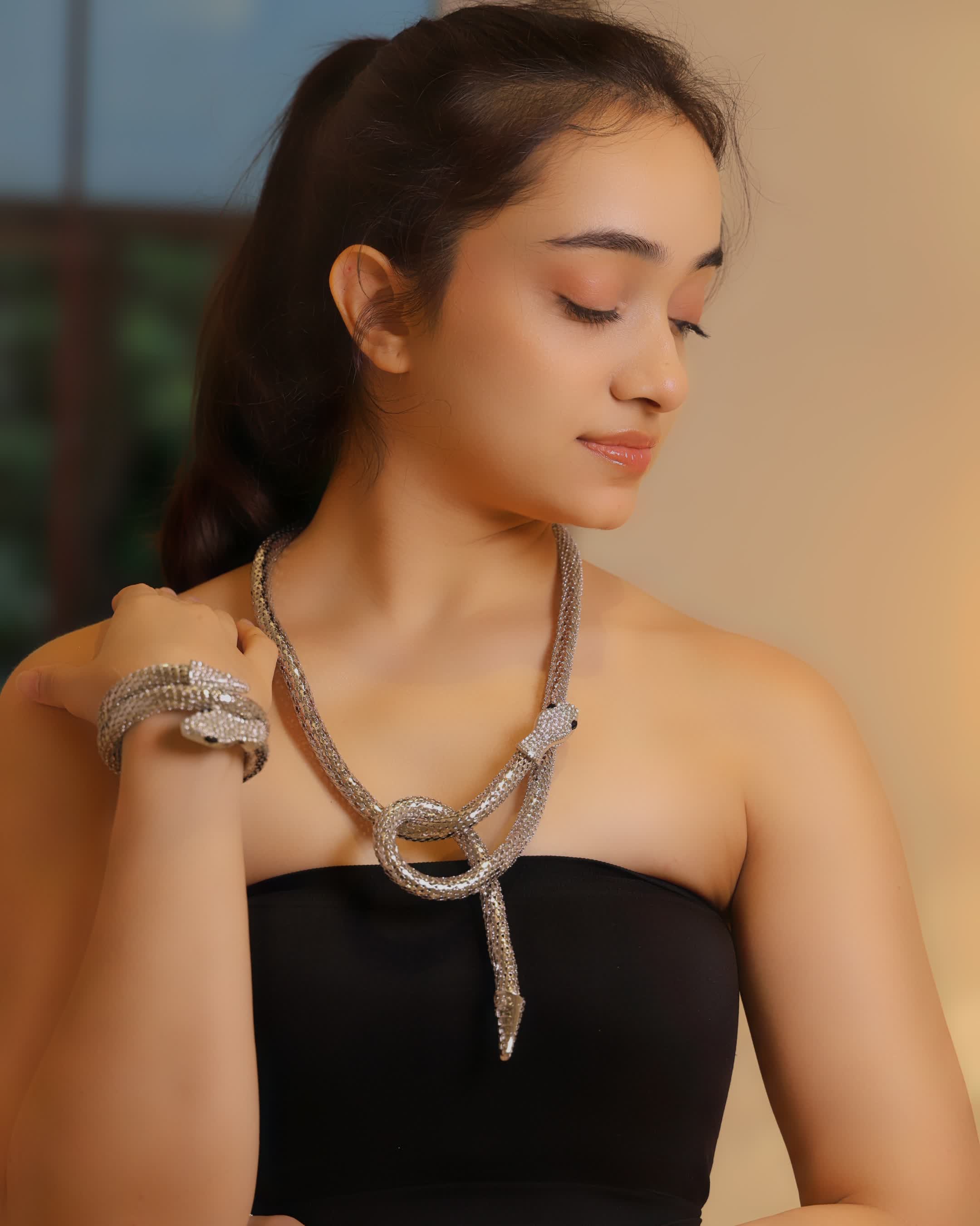 Silver Serpent Necklace and Bracelet