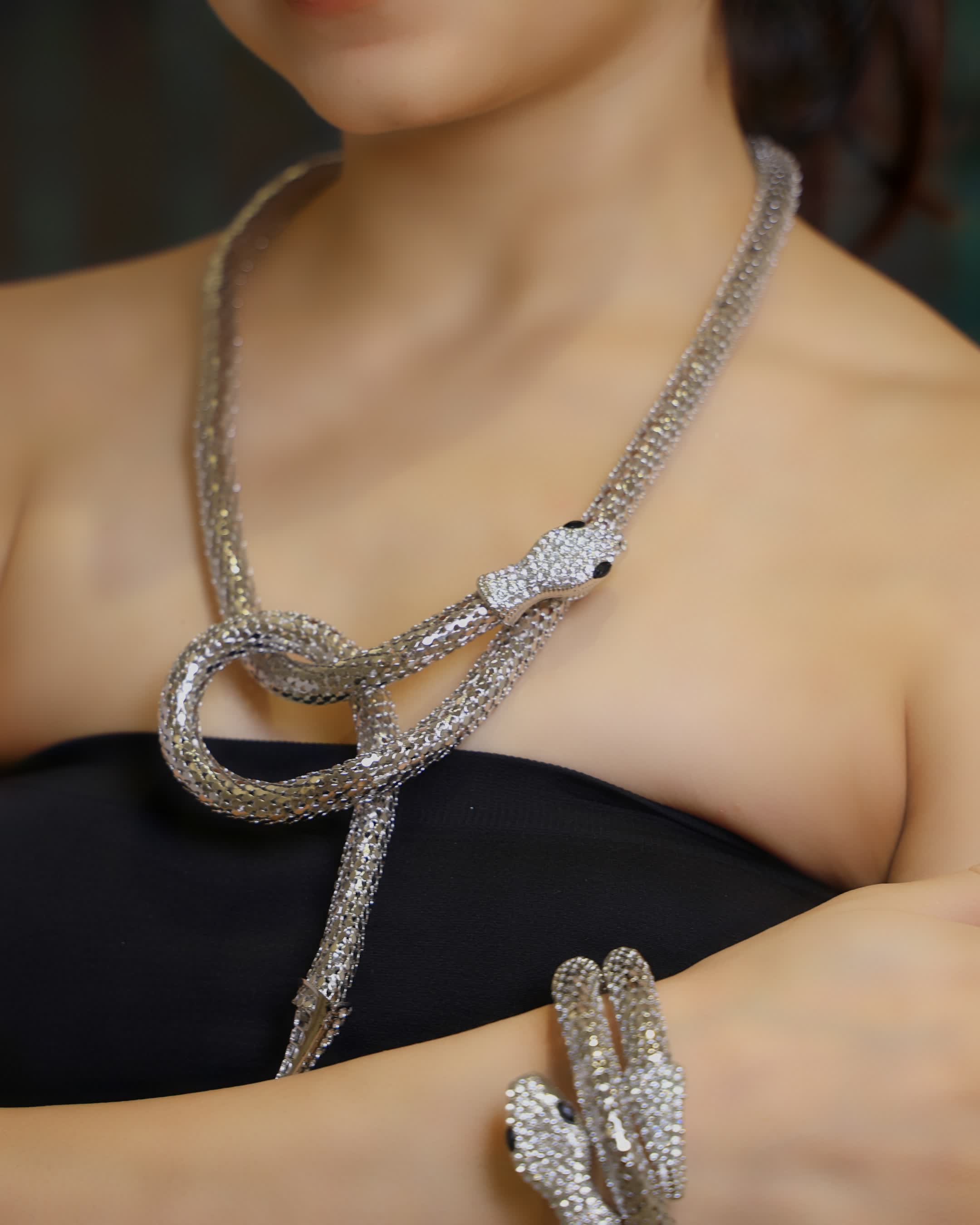 Silver Serpent Necklace and Bracelet